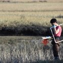 Graduate student in wetland with survey equipment