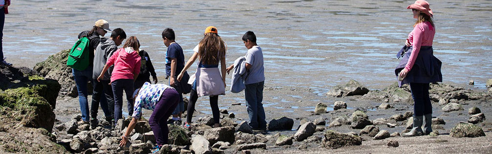 Bay Shore Studies with docent on rocky mudflat