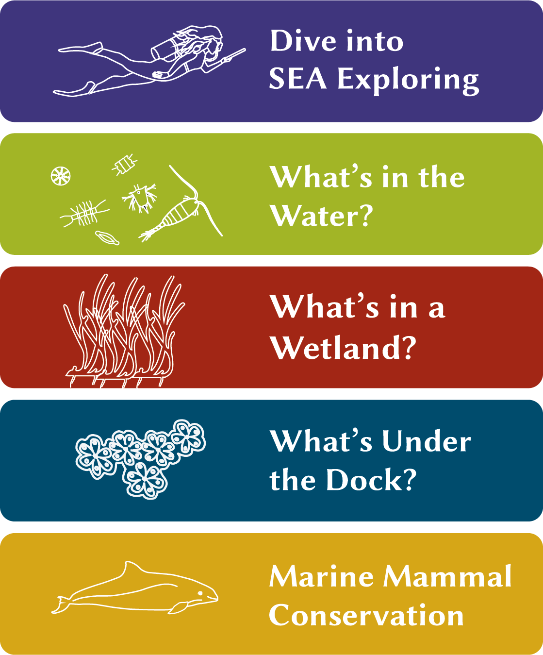 chart of activities, Dive, Water, Wetland, Dock, Marine Mammal conservation