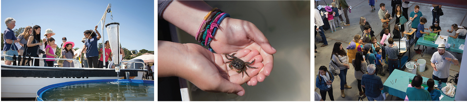 kids with plankton net, crab in kid'd hand, crowd at display