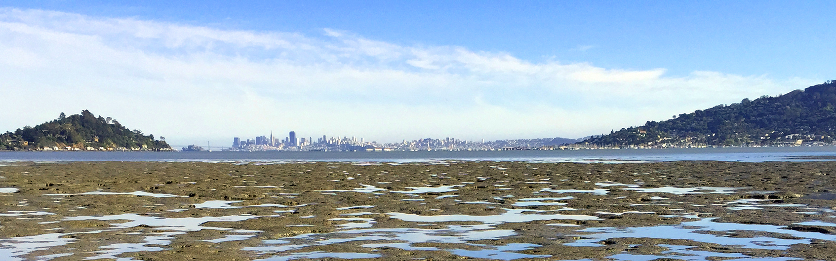 mud flat with San Francisco skyline in background