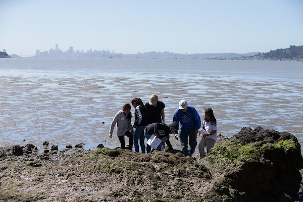 middle school children explore a beach at low tide