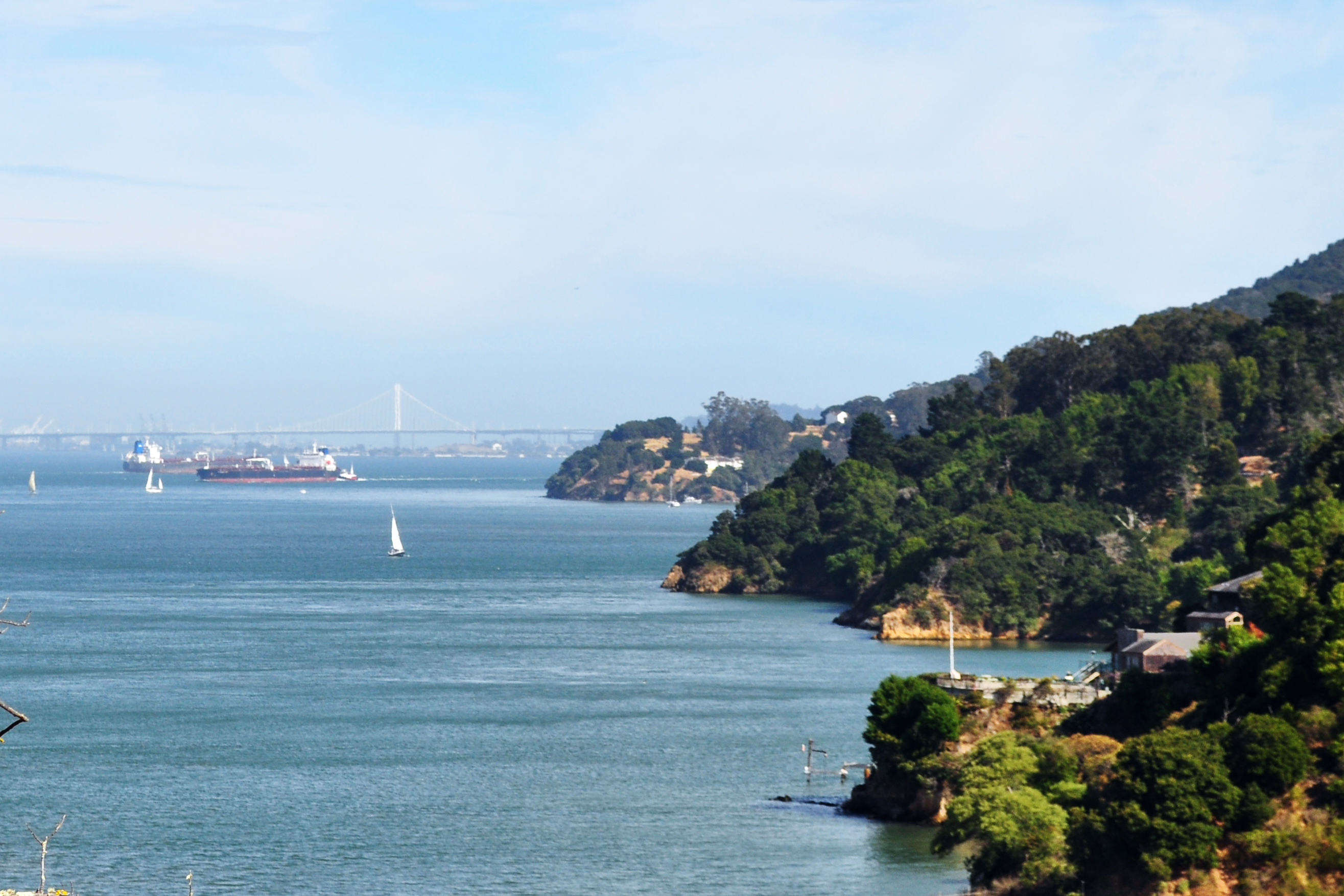 View of Bay Bridge from the conference center