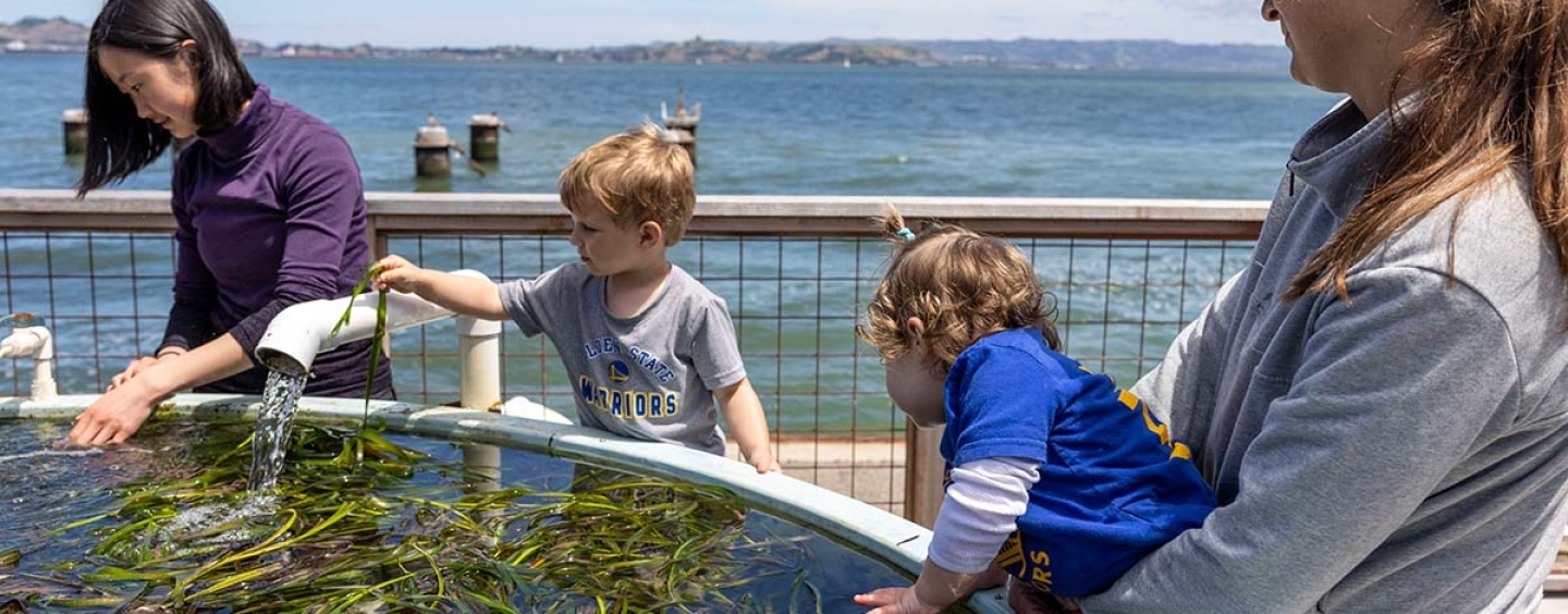 kids at eelgrass tank during EOS Center marine lab open house