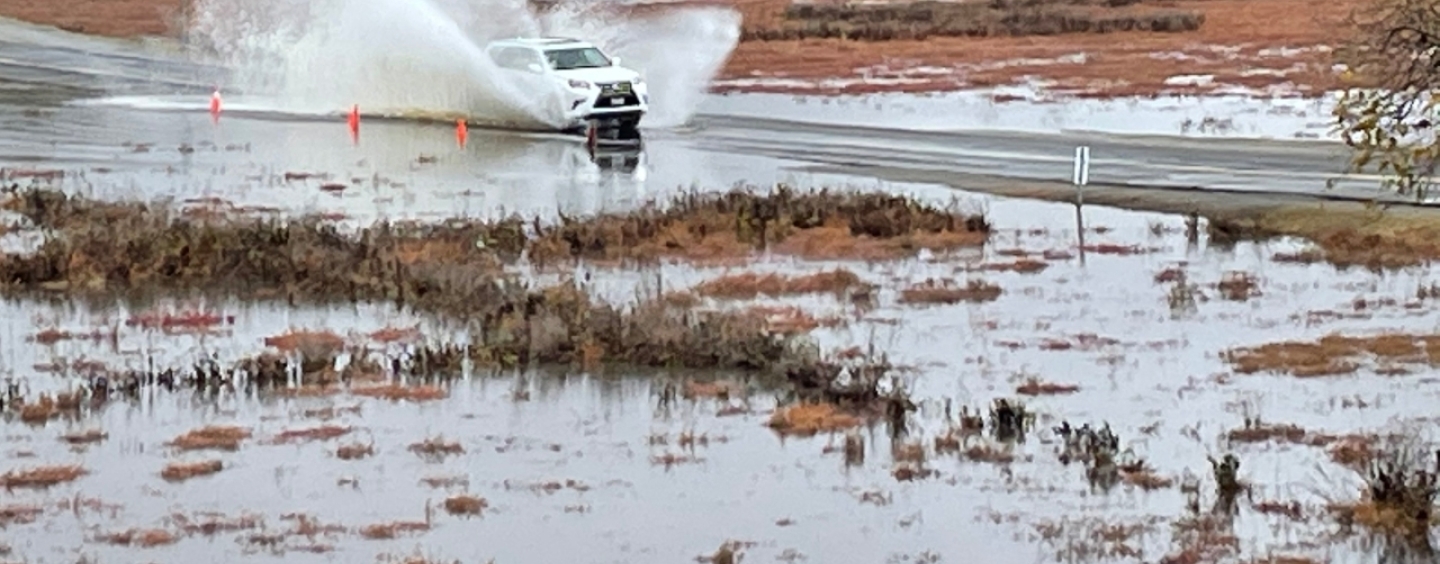 car driving through flooded road