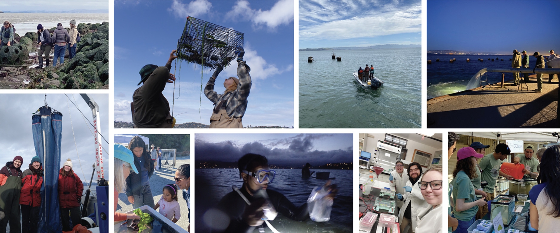 collage of images of marine field and lab work