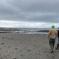 two people walking on mud flat