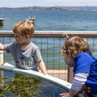 kids at eelgrass tank during EOS Center marine lab open house