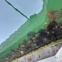 fouling community under a floating dock