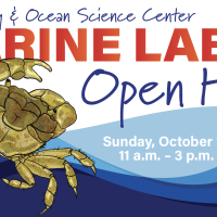 open house banner with two artistic crabs