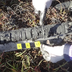 gloved hands measure mud core