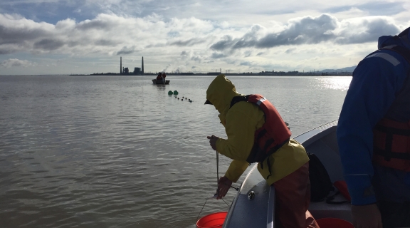 sampling for smelt from research vessel