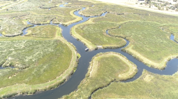 waterways through marsh