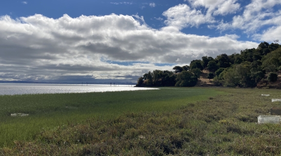 marsh, water and clouds in blue sky