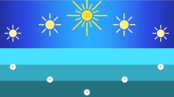 sun phases water biology graphic representation