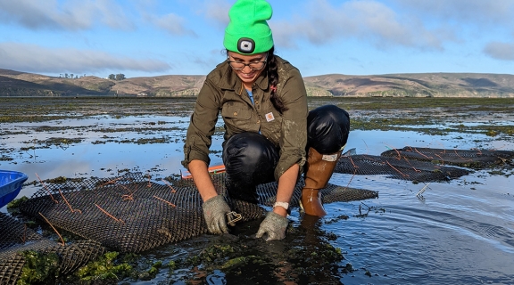 priya in the intertidal 