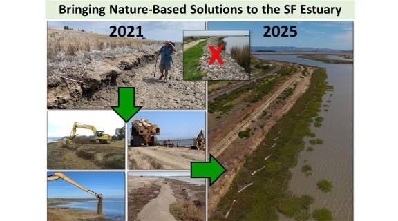 collage showing nature based solutions in SF bay