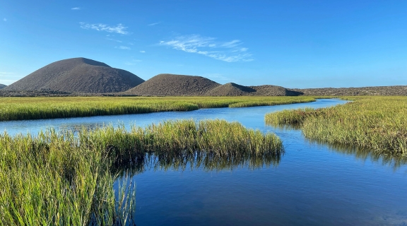 salt marsh grass and water with blue sky and green hills in background