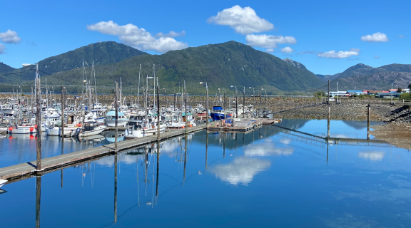 marina with boats